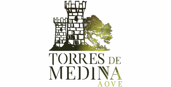 Torres-de-Medina.png