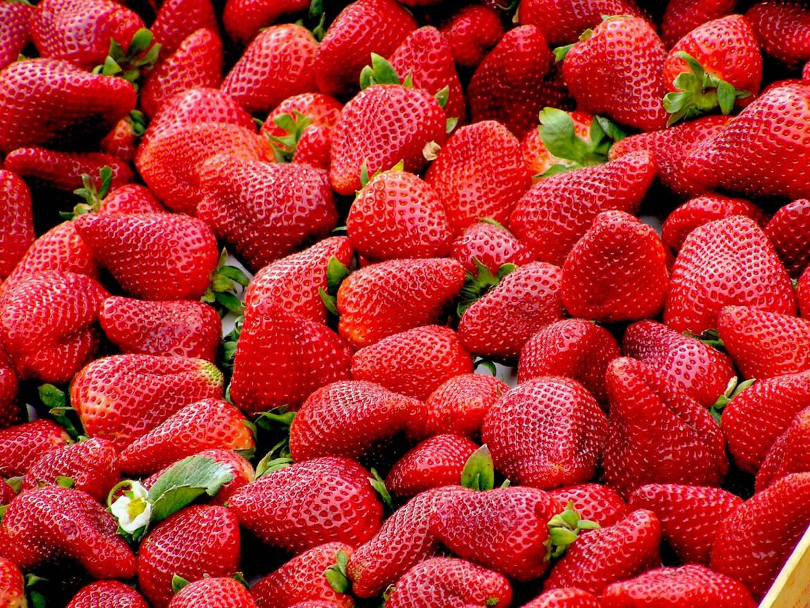 strawberries-99551_1920.jpg
