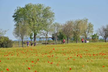 Listado de inscritos a los 15K Ciudad de Almagro 2026